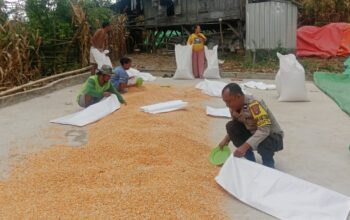 Polres Bima Kota Imbau Petani Jagung Jaga Kualitas Hasil Panen Agar Mendapat Harga Tinggi