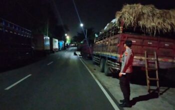 Geliat Pengiriman Ternak Sapi dari Lembar ke Jawa: Ribuan Ekor Mulai Membanjiri Pasar Jelang Puncak Permintaan