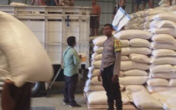 Sinergi Bhabinkamtibmas dan Poktan Pade Maiq Pastikan Stok Pangan Nasional Aman Terkendali