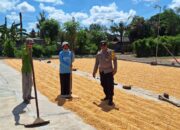 Semangat Ketahanan Pangan, Bhabinkamtibmas Tolokalo Beri Motivasi Petani