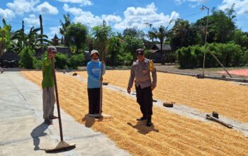 Semangat Ketahanan Pangan, Bhabinkamtibmas Tolokalo Beri Motivasi Petani