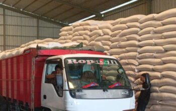 Polres Lombok Barat Monitor Distribusi Jagung ke Bulog