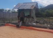 Bhabinkamtibmas Desa Daha Pantau Penjemuran Jagung Warga, Dukung Ketahanan Pangan Nasional