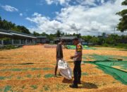 Pantau Penjemuran Jagung Warga, Bhabinkamtibmas Kadindi Barat Dukung Ketahanan Pangan Nasional