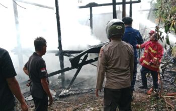 Diduga Konsleting Listrik, Satu Unit Rumah Panggung 9 Tiang di Desa Bre Ludes di Lahap Si jago Merah