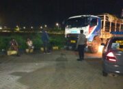 Antrean Truk Sapi di Pelabuhan Lembar Akhirnya Melandai, Distribusi ke Jawa Kini Jauh Lebih Cepat!