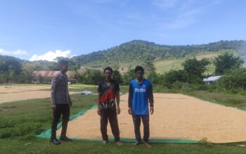 Pantau Penjemuran Jagung Warga, Bhabinkamtibmas Desa Songgajah Dorong Ketahanan Pangan Nasional