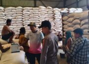 Distribusi Jagung Sekotong ke Gudang Bulog Bengkel Aman