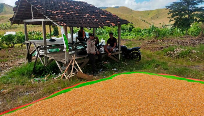 Bhabinkamtibmas Desa Jala Dorong Petani Tingkatkan Hasil Panen