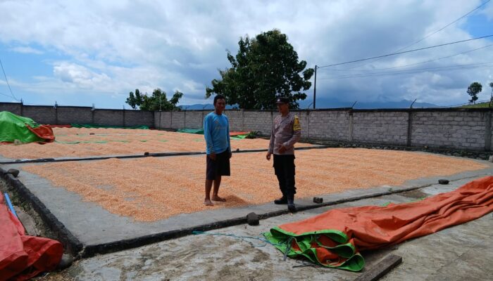 Sinergi Polri dan Petani, Ketahanan Pangan di Dompu Terus Ditingkatkan