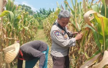 Perkuat Ketahanan Pangan Nasional, Polsek Batulayar Dorong Warga Sandik Sulap Lahan Tidur Menjadi Produktif