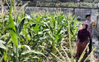 Optimalkan Lahan Tidur, Bhabinkamtibmas Labuapi Ajak Warga Wujudkan Pekarangan Bergizi