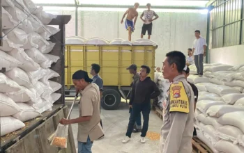 Pastikan Harga Stabil, Ribuan Ton Jagung dari Desa Batu Putih Dikawal Polisi Menuju Bulog