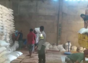 Sinergi Polri dan Petani: Bhabinkamtibmas Desa Mareje Kawal Distribusi Tonase Jagung ke Gudang Bulog