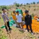 Polres Lombok Tengah Tinjau Panen Jagung di Kuta, Dukung Ketahanan Pangan