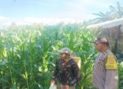 Polsek Gerung Kawal Program Ketahanan Pangan di Banyu Urip
