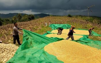 Sukseskan Program Asta Cita, Polsek Sekotong Sasar Petani
