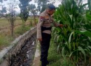 Strategi Bhabinkamtibmas di Lombok Barat Pacu Produktivitas Desa demi Ketahanan Pangan Nasional