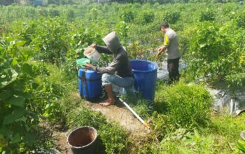 Bhabinkamtibmas Desa Lendang Nangka Cek Lahan Ketahanan Pangan Bergizi di Goa Punik