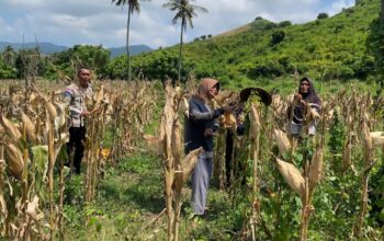 Polsek Sekotong Jaga Ketahanan Pangan di Batu Putih