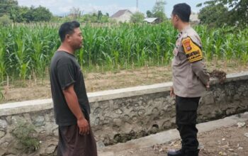 Polsek Labuapi Kawal Program Ketahanan Pangan Nasional