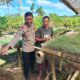 Bhabinkamtibmas Desa Bagik Papan Silaturahmi dan Cek Bibit Pertanian Warga Dukung Program Ketahanan Pangan