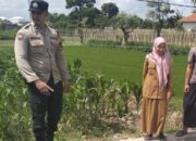 Polsek Labuapi Perkuat Ketahanan Pangan di Desa Binaannya
