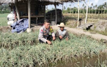 Bhabinkamtibmas Desa Bagik Papan Intensifkan Silaturahmi dan Cek Tanaman Bawang Merah Warga