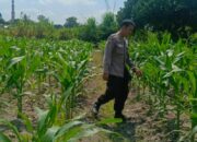 Polri Perkuat Pekarangan Bergizi di Desa Perampuan