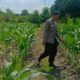 Polri Perkuat Pekarangan Bergizi di Desa Perampuan