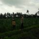 Bhabinkamtibmas Desa Masbagik Selatan Cek Lahan Ketahanan Pangan Bergizi di Tanak Malit Utara