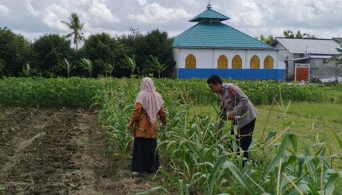 Bhabinkamtibmas di Lombok Barat Sulap Lahan Kosong Jadi Kebun Pangan