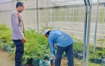 Cara Polisi Lombok Barat Wujudkan Kemandirian Pangan Desa