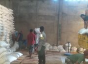 Petani Mareje Kirim Hasil Panen Jagung ke Gudang Bulog