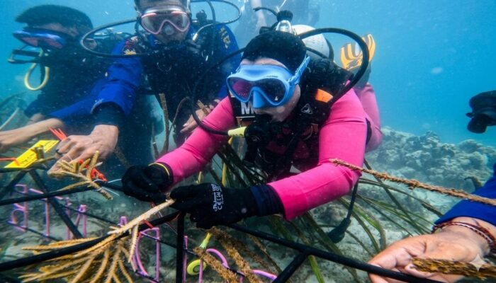 Jaga Kelestarian Ekosistem Laut, Ketua Bhayangkari Daerah NTB Tanam Terumbu Karang di Gili Sudak