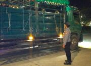 Pengiriman Ternak Sapi di Pelabuhan Lembar Berjalan Lancar