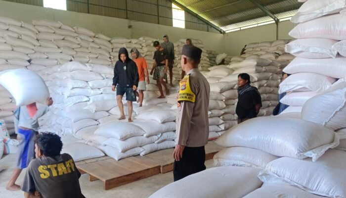Polisi Kawal Distribusi Jagung di Lombok Barat, Pastikan Ketahanan Pangan Nasional Terjaga Aman