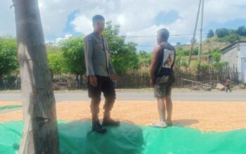Polsek Hu’u Dorong Petani Salurkan Hasil Panen ke Bulog Sesuai Harga Pemerintah