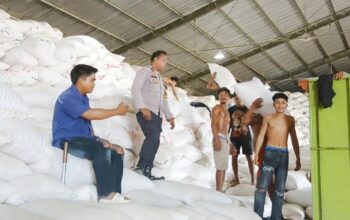 Polri Hadir Kawal Ketahanan Pangan, Bhabinkamtibmas Polres Bima Kota Monitoring Bongkar Muat Jagung