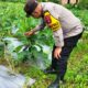 Dukung Program Asta Cita, Bhabinkamtibmas Monitoring Ketahanan Pangan Warga Binaan