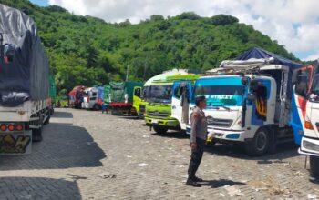 Pengiriman Hewan Ternak di Pelabuhan Lembar Kini Nihil Antrean