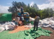 Panen Jagung di Pekat Dipantau Polisi, Warga Diimbau Waspada Saat Gunakan Mesin Giling