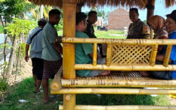 Petani Labuapi Didorong Tanam Jagung Demi Pangan