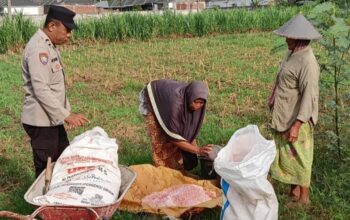 Kawal Distribusi Pupuk dan Motivasi Petani, Komitmen Polsek Labuapi Dukung Swasembada Pangan