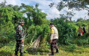 Sinergi TNI-Polri di Lombok Barat Sulap Lahan Tidur Jadi Kunci Swasembada Pangan Nasional