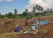 Bhabinkamtibmas Desa Wanasaba Sosialisasikan Ketahanan Pangan dan Himbau Warga Waspada Cuaca Ekstrem