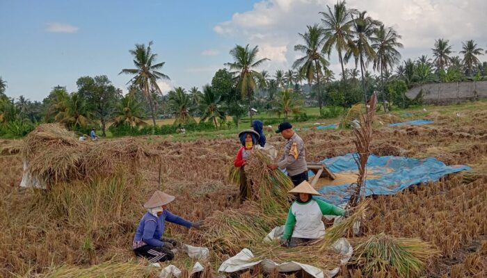 Bhabinkamtibmas Desa Wanasaba Sosialisasikan Ketahanan Pangan dan Himbau Warga Waspada Cuaca Ekstrem