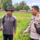 Cara Polres Lombok Barat Jaga Ketahanan Pangan di Desa