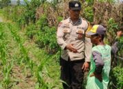 Polsek Labuapi Optimalkan Lahan untuk Ketahanan Pangan Nasional