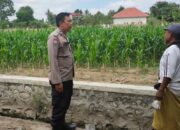 Ketahanan Pangan Polsek Labuapi Dampingi Petani Telagawaru